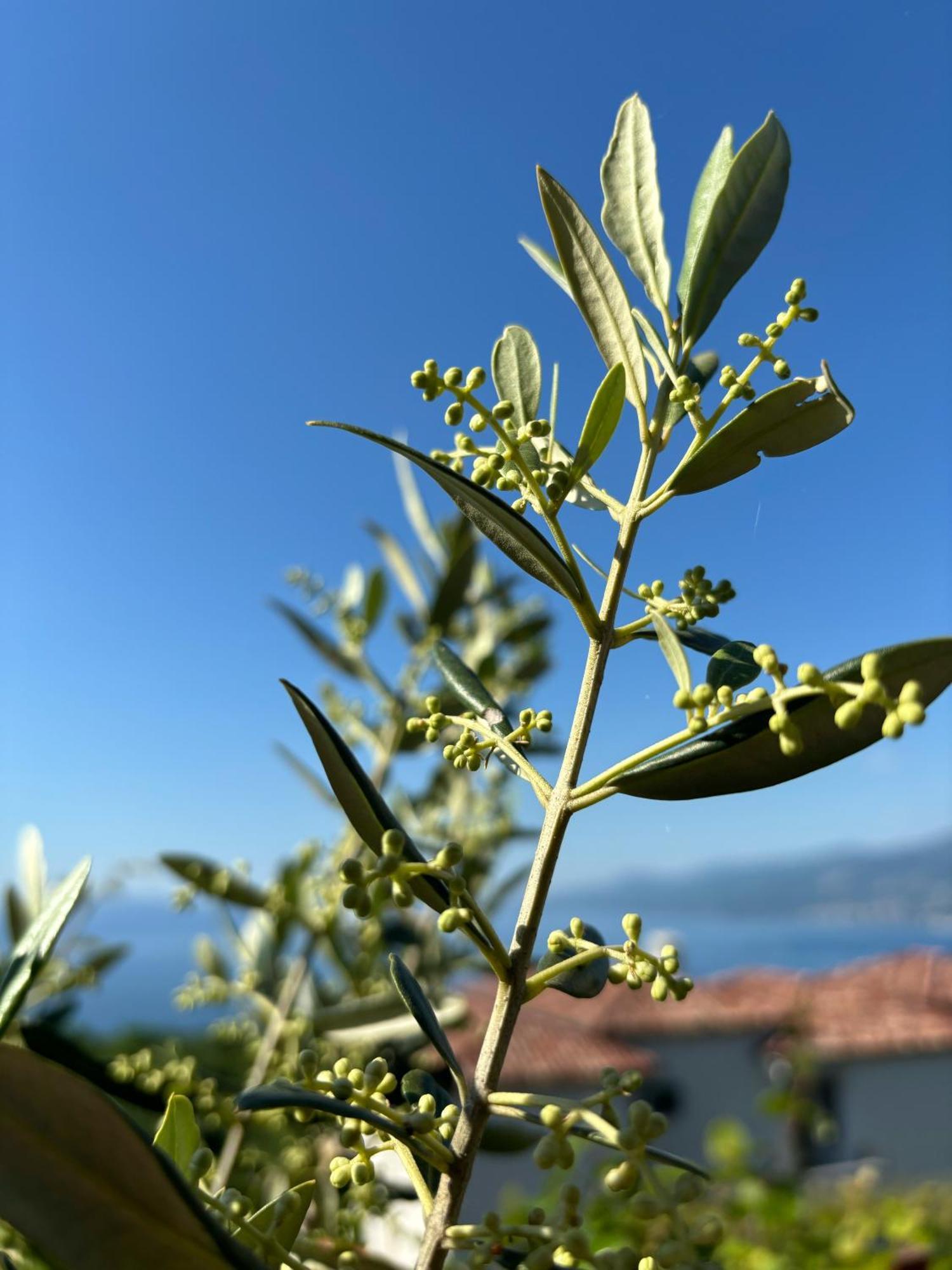 Va Kastav Exterior foto