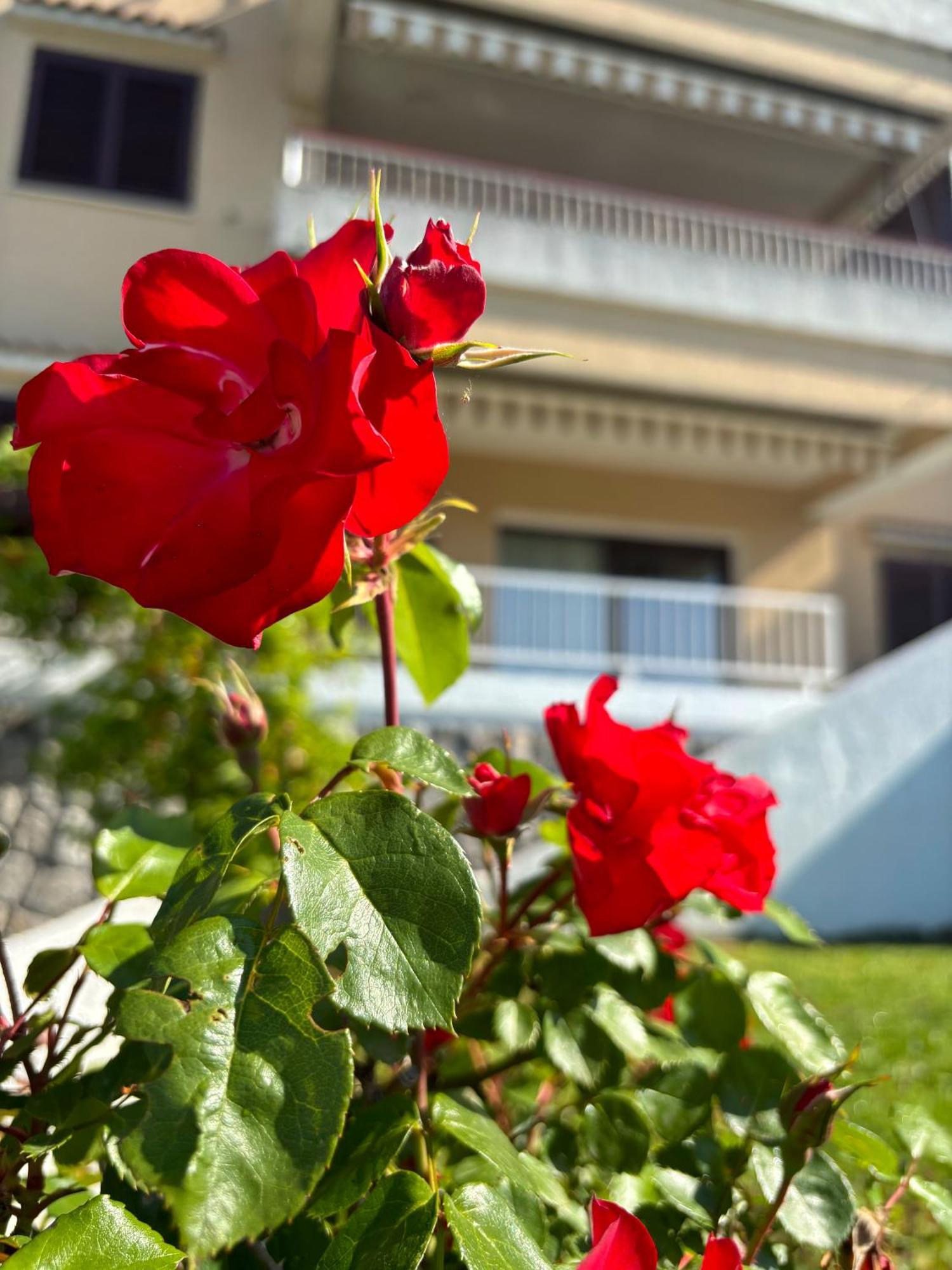 Va Kastav Exterior foto